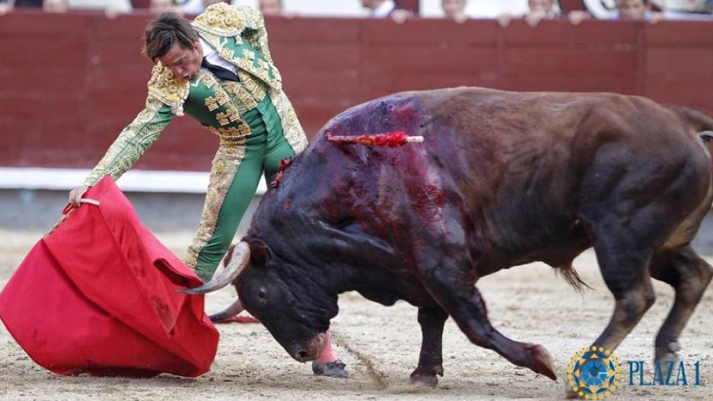 Derechazo de Dávila Miura al buen sobrero de Buenavista