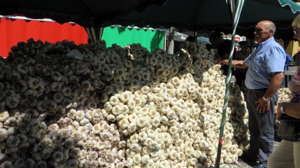 Feria del Ajo de Zamora en la avenida Tres Cruces