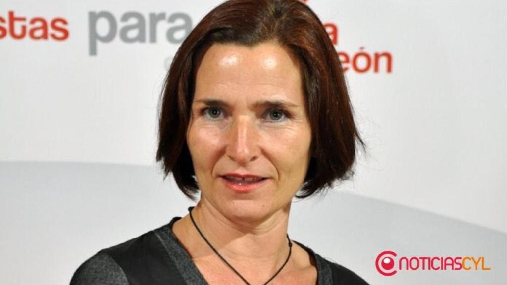 maria-luz-martinez-seijoo-psoe-palencia