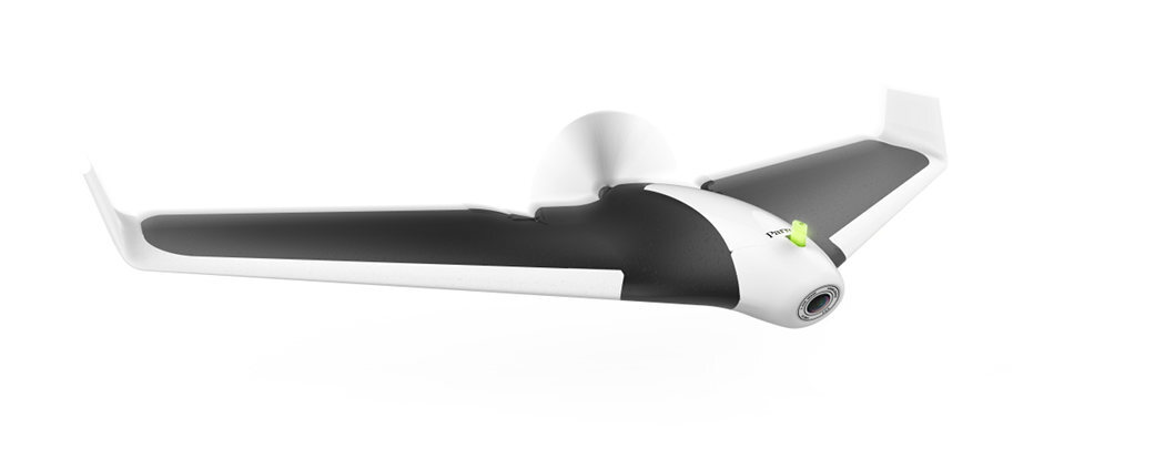parrot disco 1 (2)