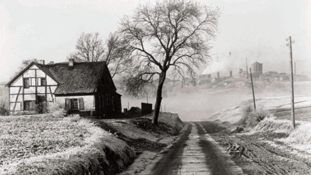 Image: La mirada aséptica de Albert Renger-Patzsch