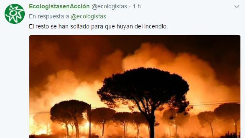 Ecologistas informa de la suelta de linces pra huir del fuego