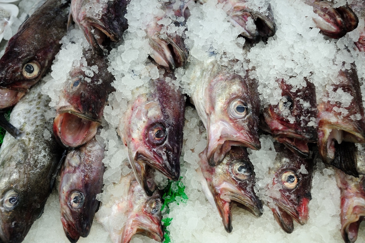 jorge-gonzalez-que-hacen-los-supermercados-con-la-comida-que-no-venden