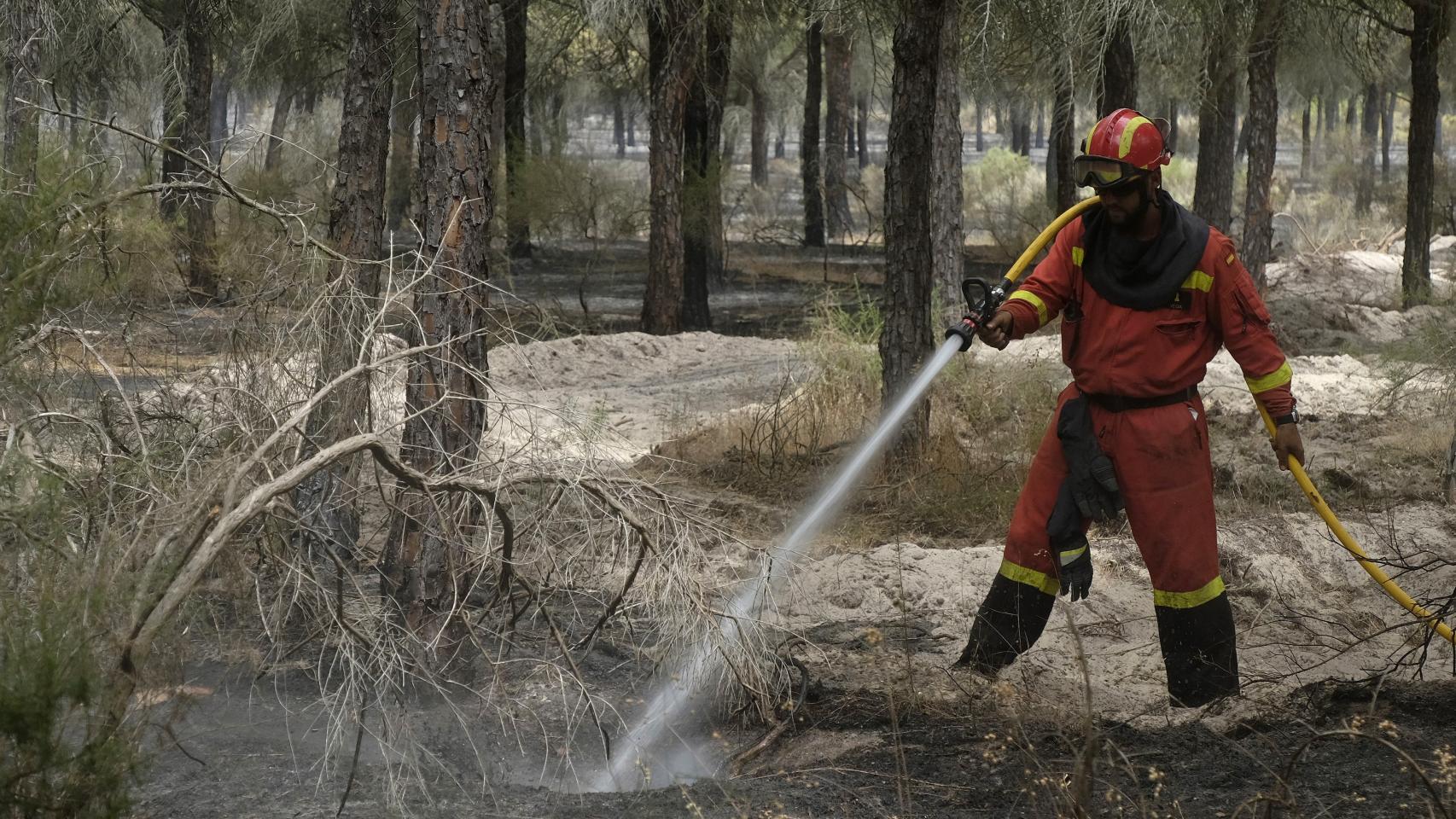 Un bombero trata de apagar el fuego del incendio que se ha originado en Moguer. / Efe