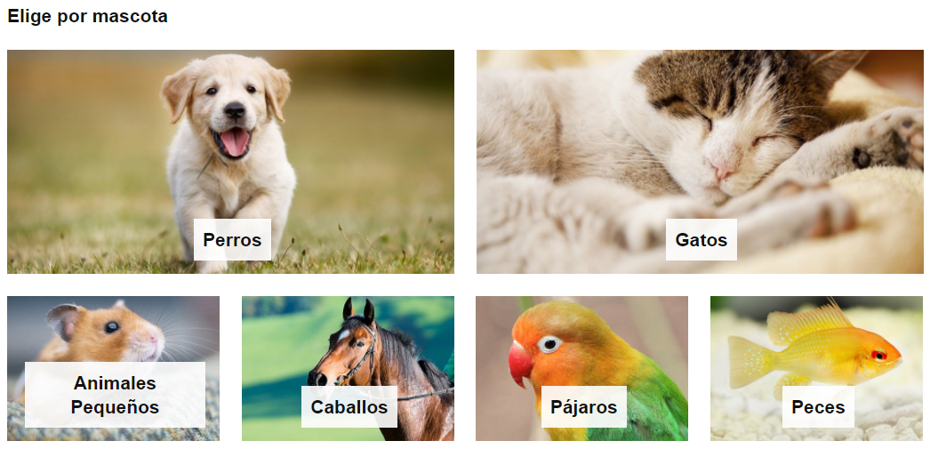 amazon mascotas seccion