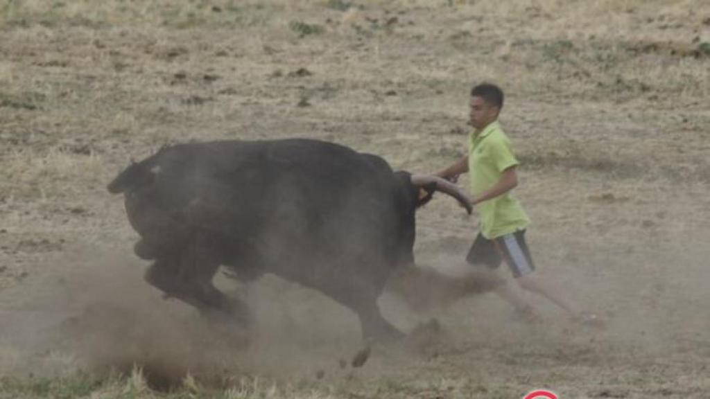 Zamora-encierro-guarrate-toros-cogida-031
