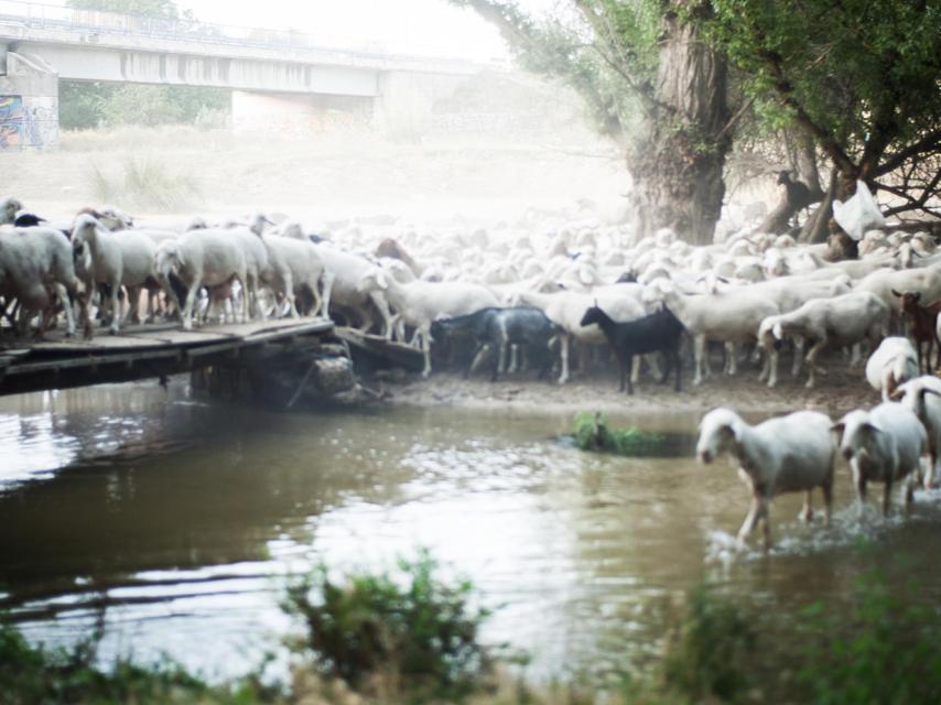 7 julio. Ejército Republicano parado frente al Guadarrama. Una de las fotografías de Barro Rojo, la exposición de Javier Marquerie.