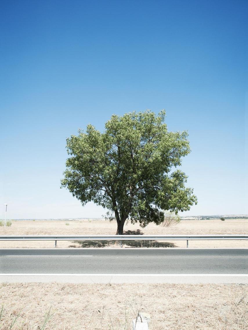 25 julio. La_muerte de Gerda, la primera fotoperiodista mujer. Una de las fotografías de Barro Rojo, la exposición de Javier Marquerie.