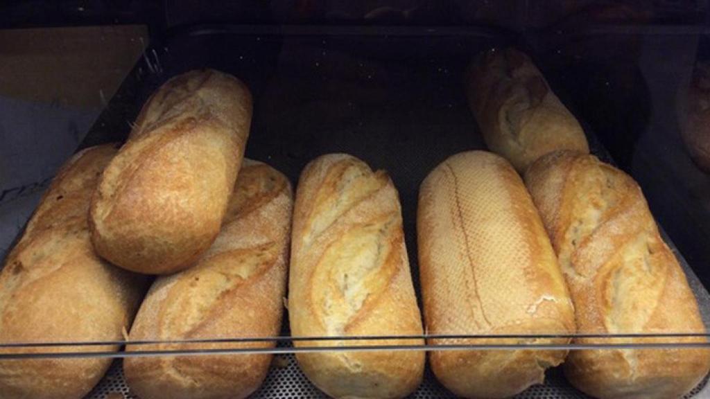 Palencia-trabajadores-despido-palpan