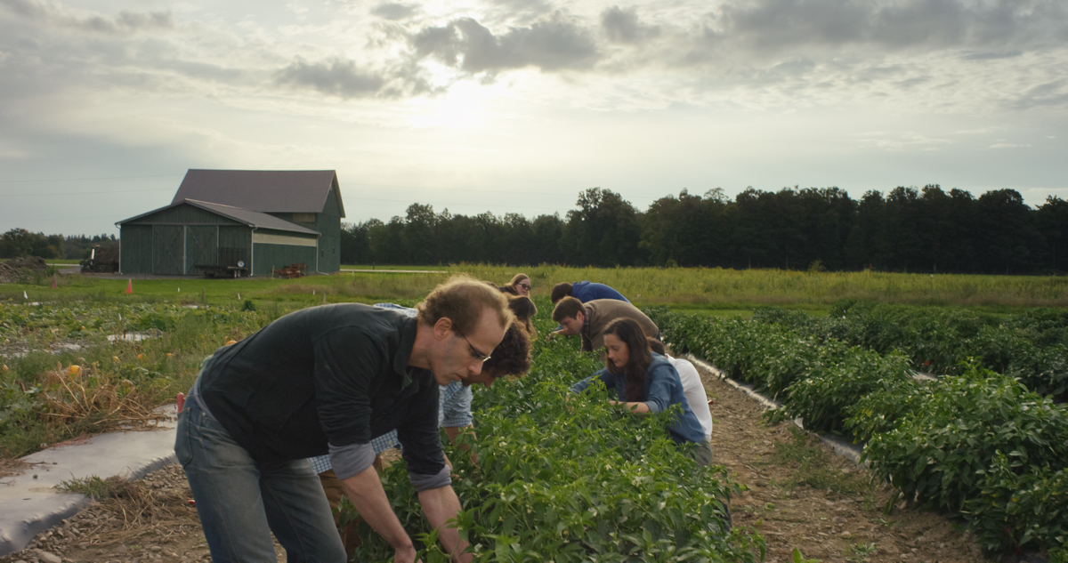 dan-barber-chefs-table-1