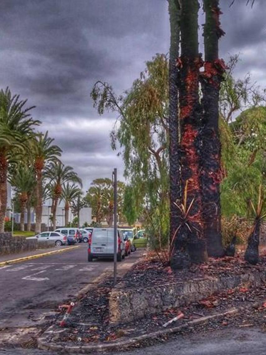 El fuego destrozó parte de una de las avenidas principales el año pasado. La zona sigue calcinada