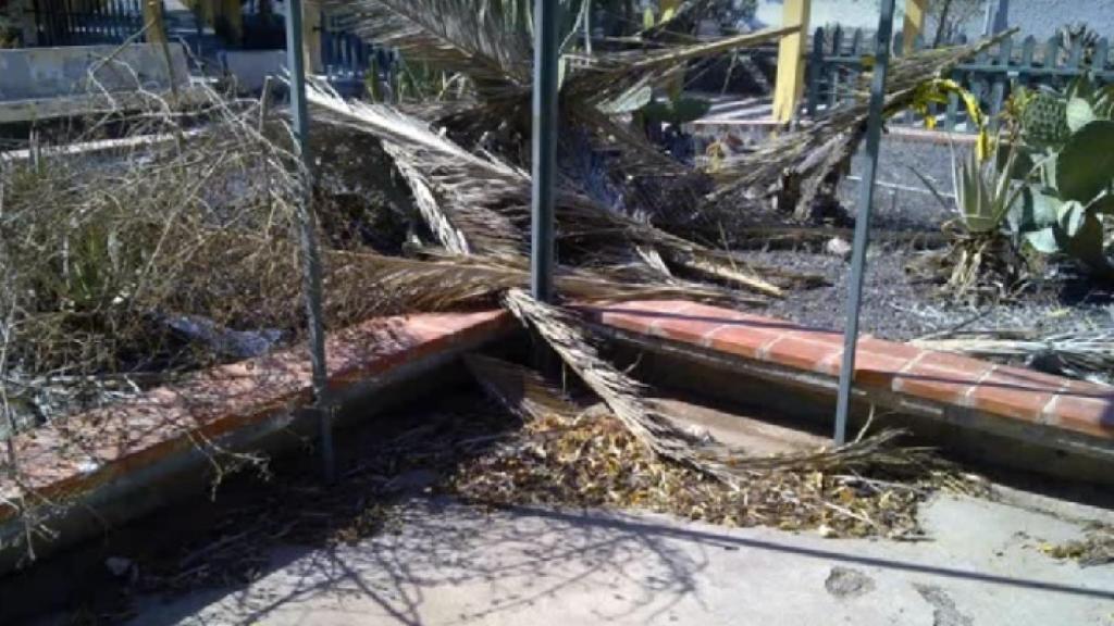 Una zona de recreo, inutilizada por la caída de los árboles