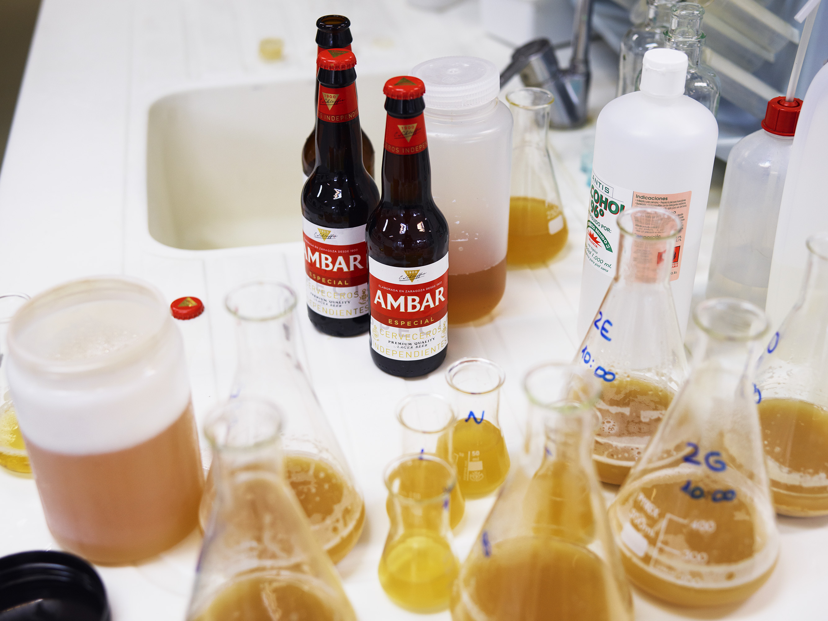 Ambar Especial bodegón