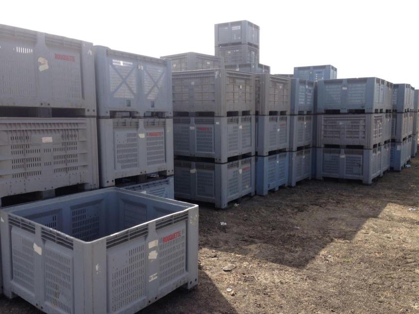 El coche en el que apareció el cadáver de Soledad estaba aparcado junto a estos palés con melones, a unos 300 metros del cortijillo en el que viven Juan y Margarita.