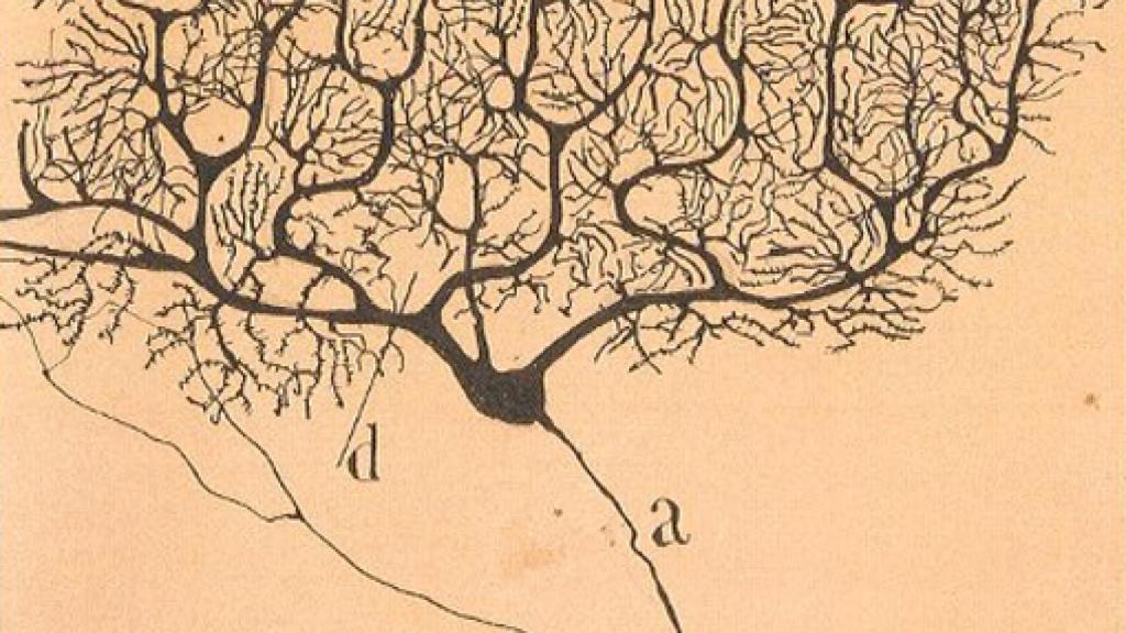 Image: El español, ante el 'agujero negro' de la ciencia