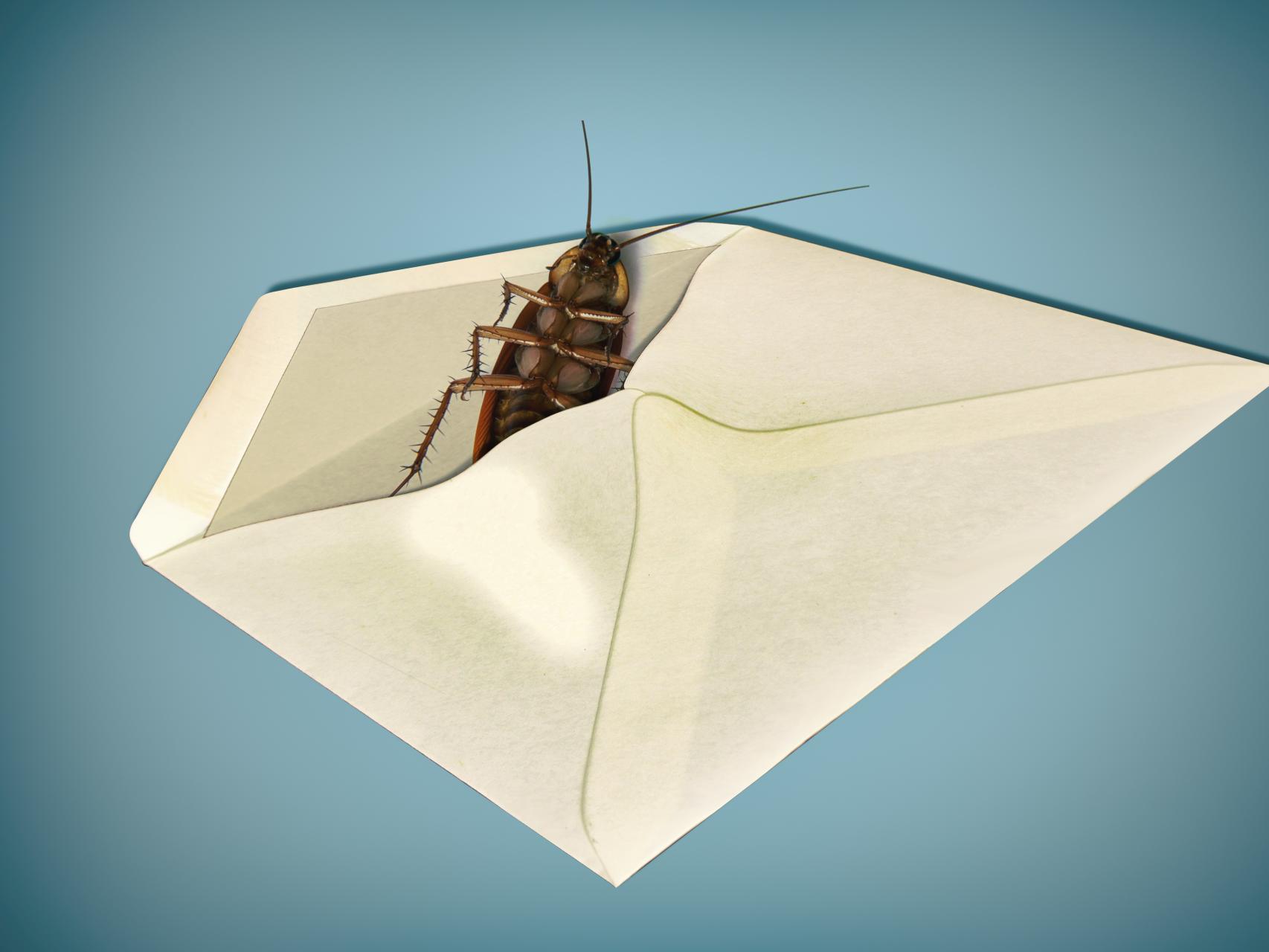 Ilustración. Javier Muñoz.