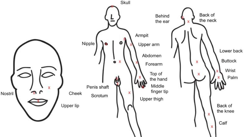 La tabla del dolor elaborada por Michael Smith.