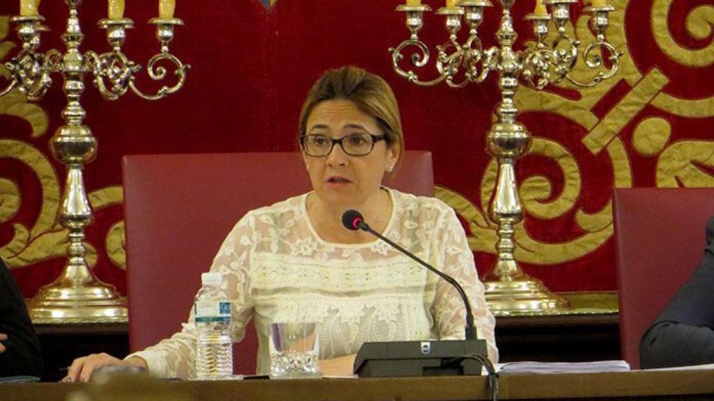 Zamora diputacion pleno 2 6