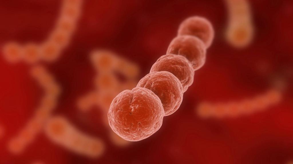 Ilustración de un estreptococo.