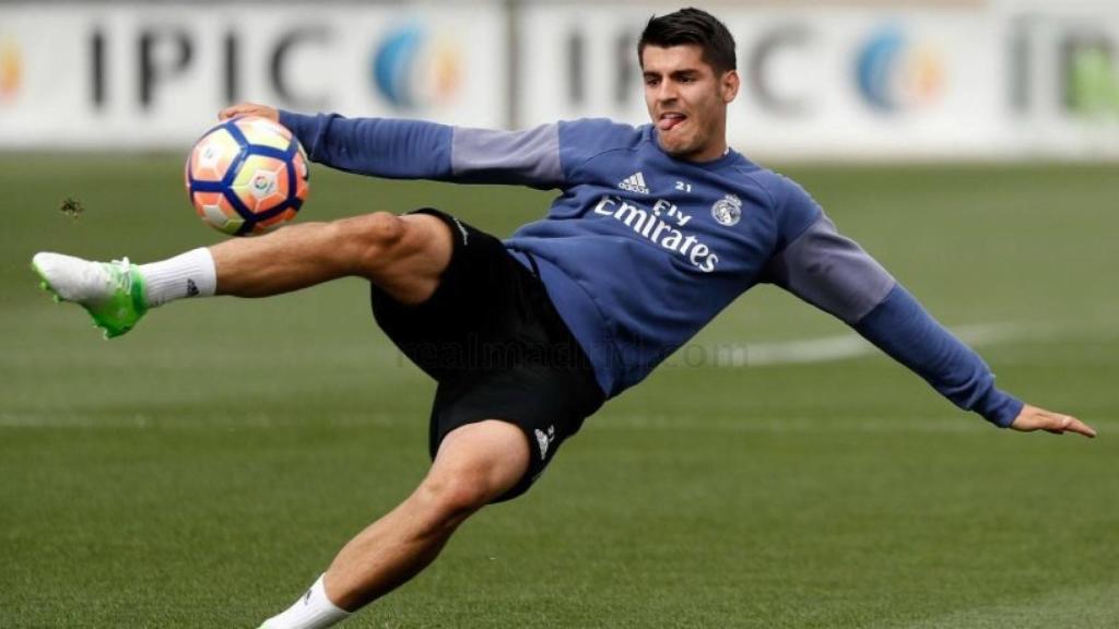 Tijereta de Morata