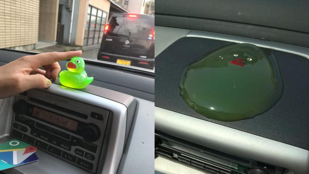 El pato de la discordia