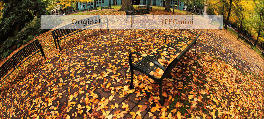 jpegmini compresor imagenes calidad profesional ejemplo