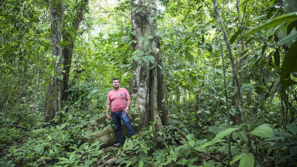 Lalo, presidente del Comité del Ojoche, bajo un árbol de ojoche.