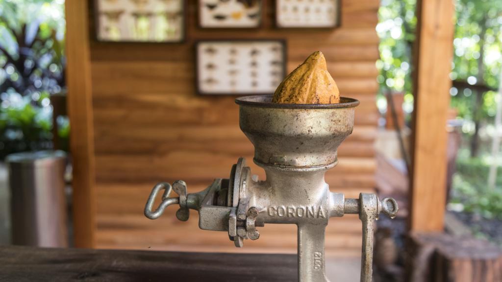 En Macaw Lodge se aprenden los usos sagrados que los mayas hacían de la planta del cacao.