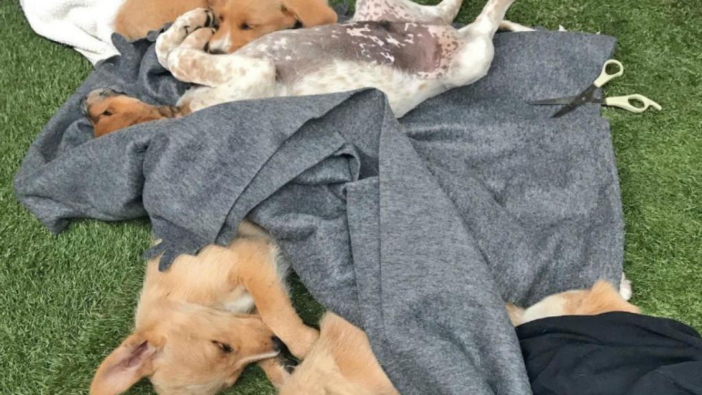 Digital Castilla