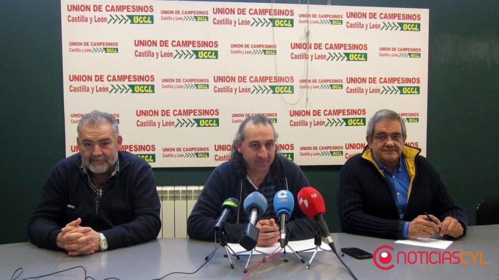 uccl-balance-ano-2016