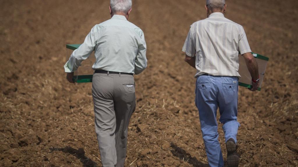 Dos miembros del SAT transportando las urnas.