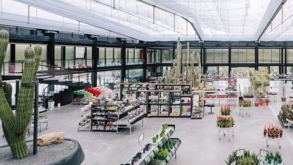 El invernadero de Desert City en Madrid. | Foto: Imagen Subliminal, Miguel de Guzmán y Rocío Romero.