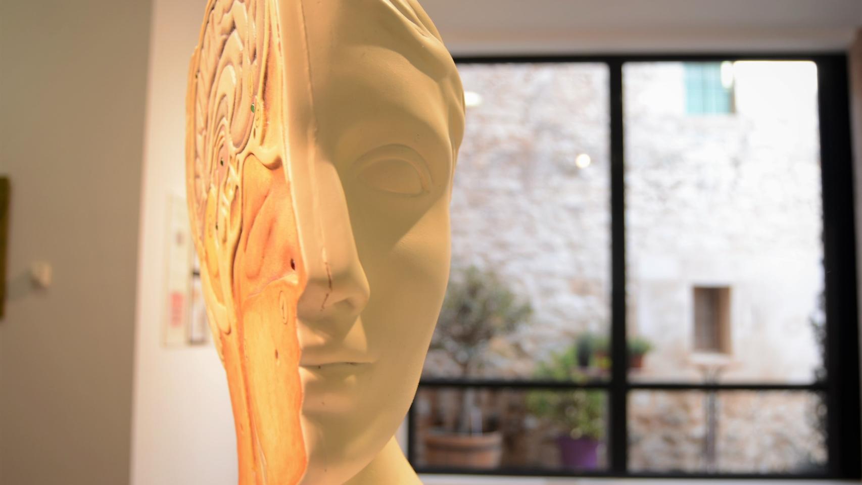 Con el apoyo de la ciencia