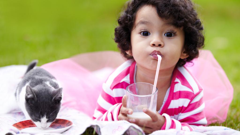 Las leches adaptadas, o de crecimiento, son una buena alternativa cuando la lactancia materna no es posible.