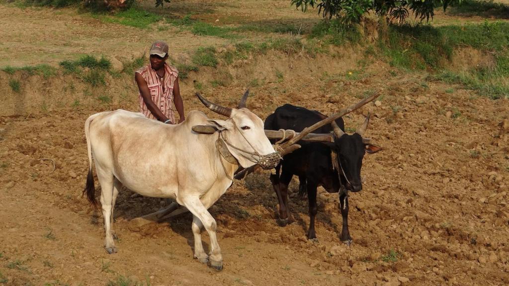 Montaje que representa el cambio climático.