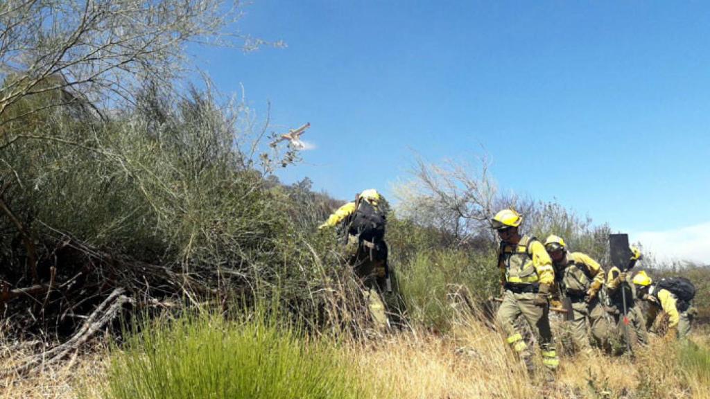 zamora incendio pino del oro (5)
