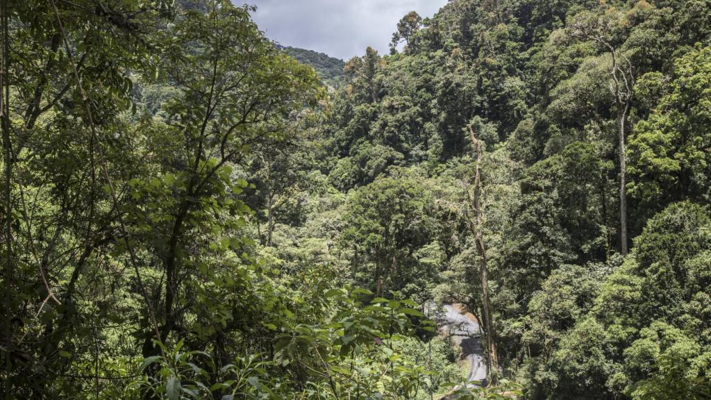 Una única carretera de montaña, que ayudo a construir Don Efraín, atraviesa el valle de Gerardo de Dota.