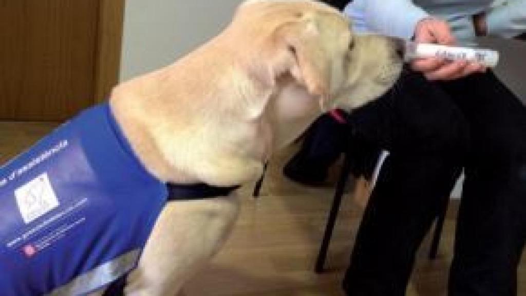 Blad huele una de las muestras.