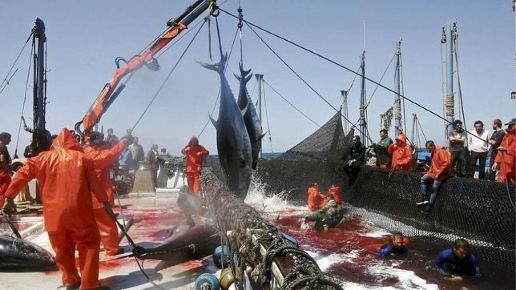 El alta mar es para los hombres y en tierra las mujeres esperan