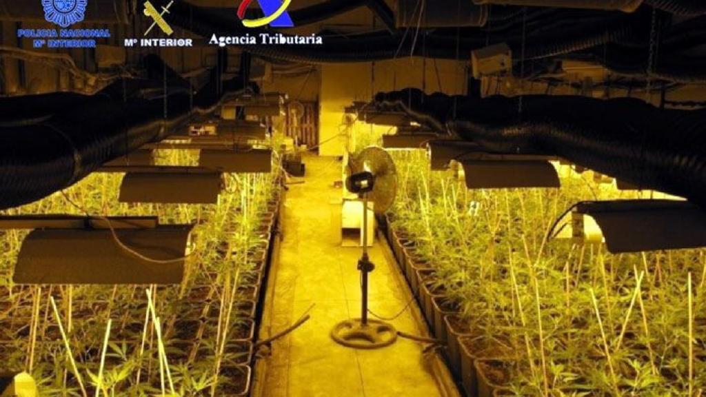 zamora grupo criminal