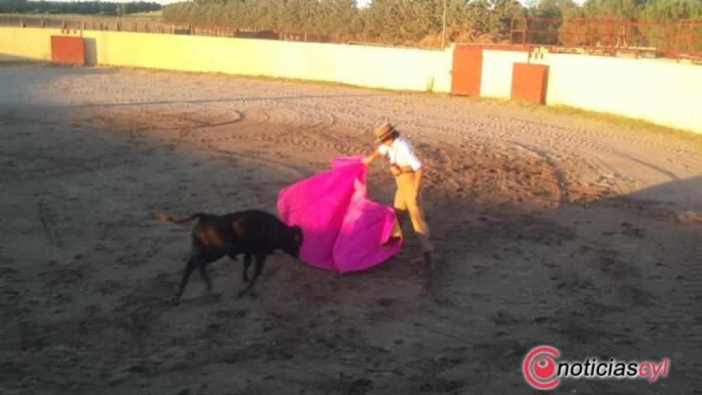 tentadero reportaje santos valladolid 5