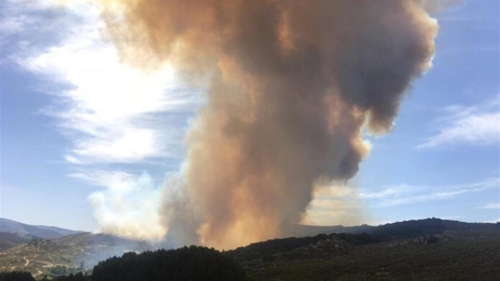 incendio gredos avila 1
