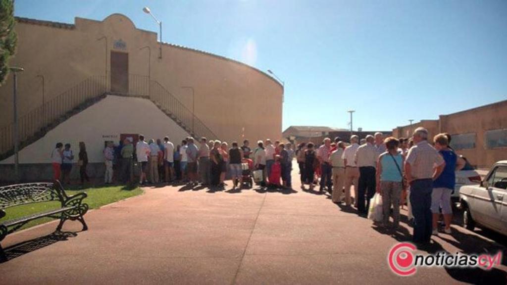 colas-toros-guijuelo