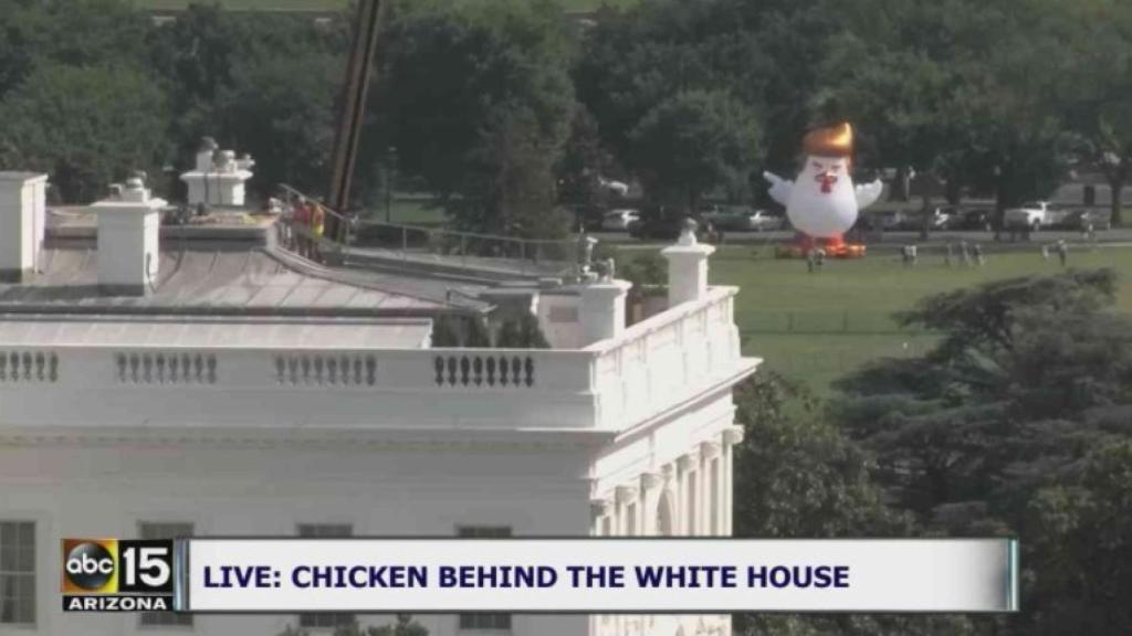 Chicken Don, tras la Casa Blanca.