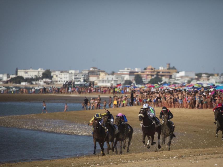 Los caballos encarando la recta final a meta.
