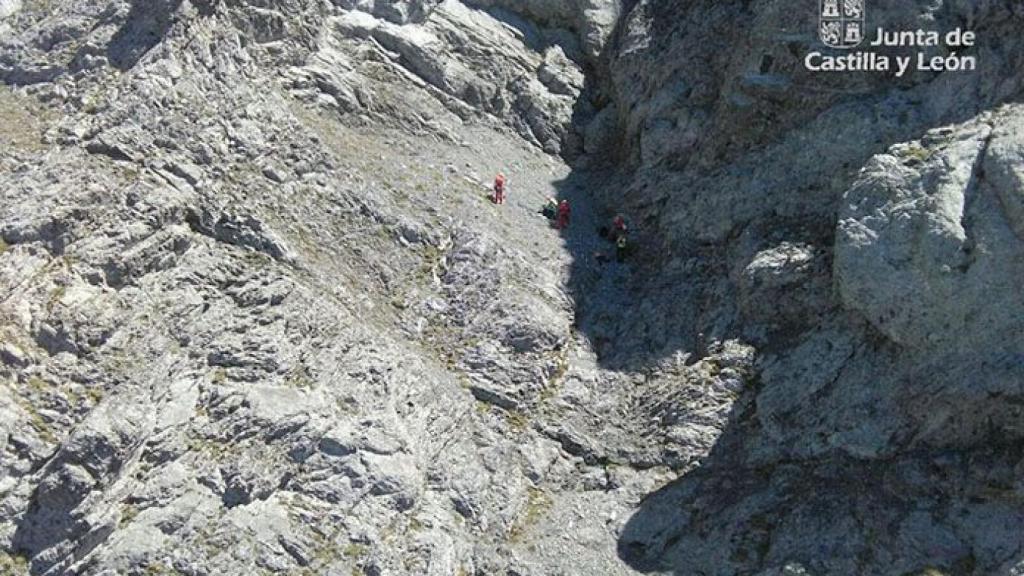 leon montanero picos de europa