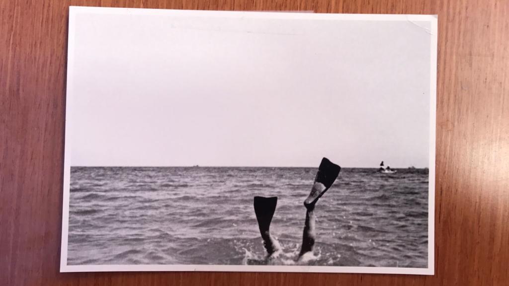 Una postal que siempre puedes colgar en la nevera.