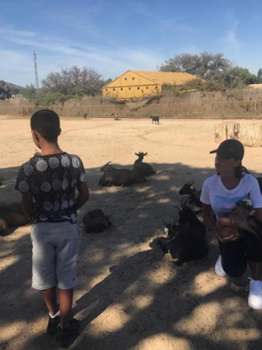 Georgina se fue de safari esta semana con el primogénito de su novio.