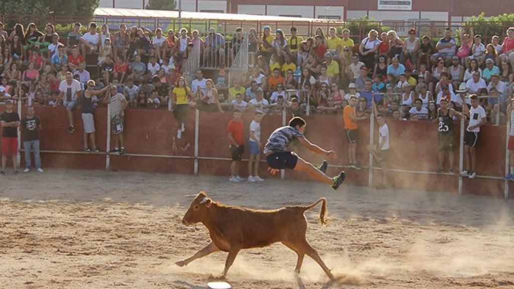 carbajosa 2017 vaquillas (20)