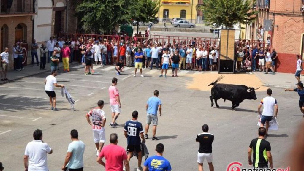 toro verdejo fiestas rueda 2017 6